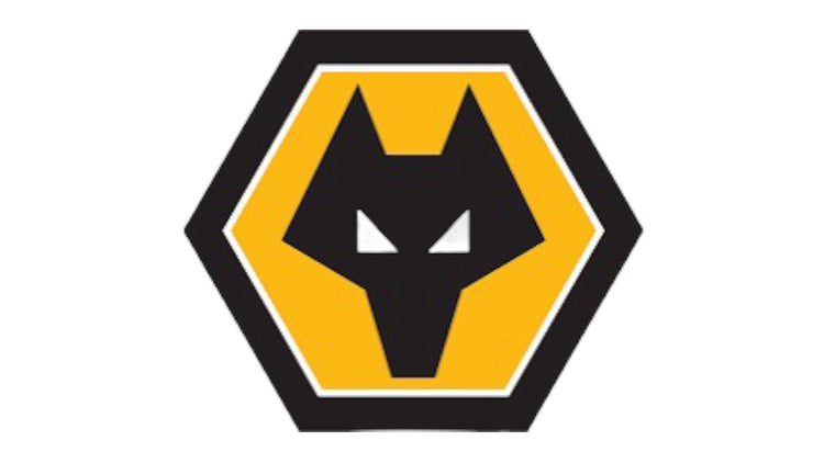 Wolverhampton Wanderers FC