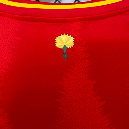 Spain Home Kit 2024/25