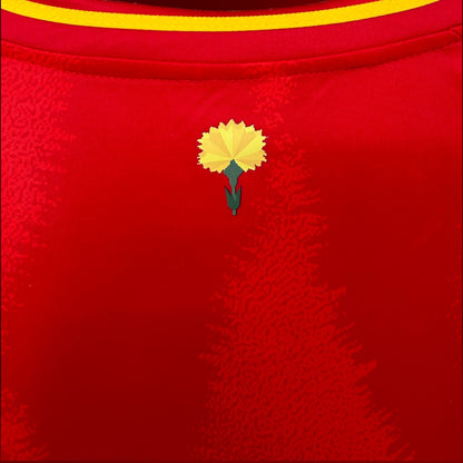 Spain Home Kit 2024/25