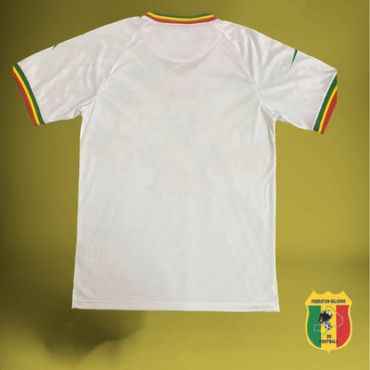 Mali Away Kit 2023/24