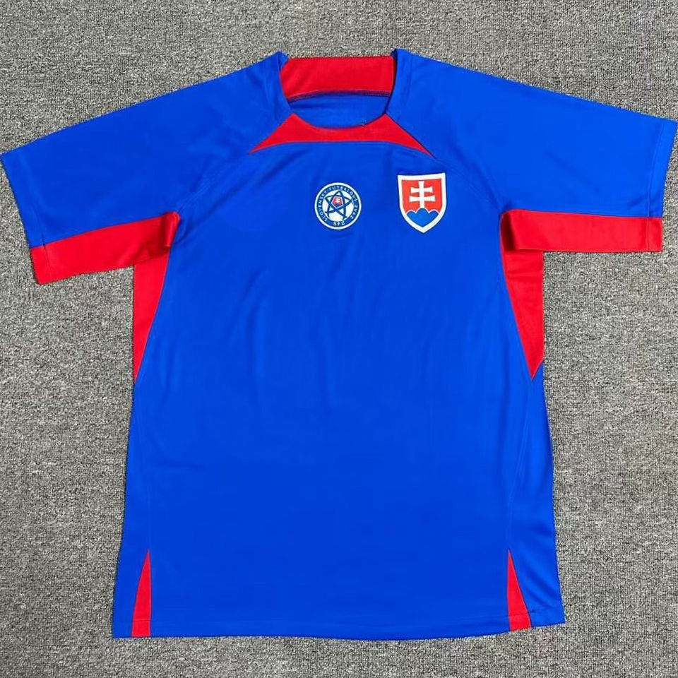 Slovakia Home Kit 2024/24