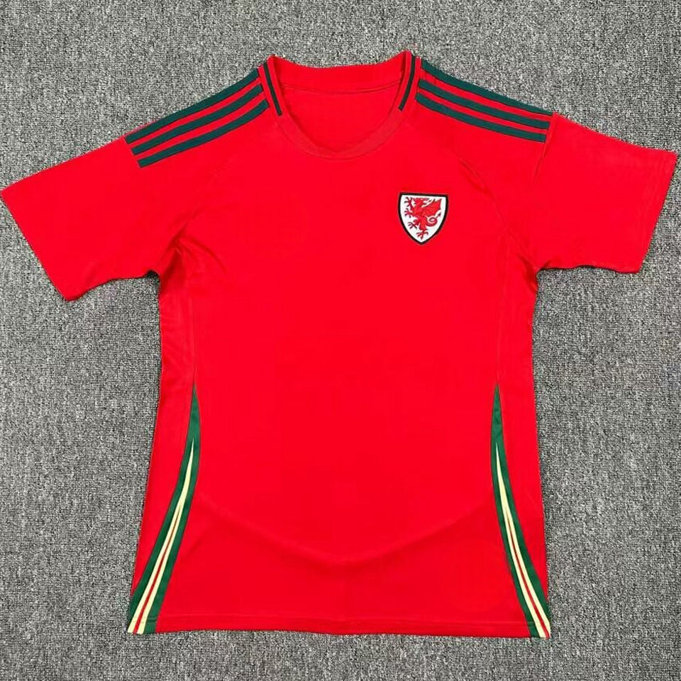 Wales Home Kit 2024/25