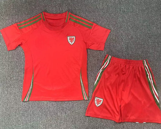 Wales Home Kit 2024/25(Kids Edition)