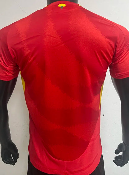 Spain Home Kit 2024/25