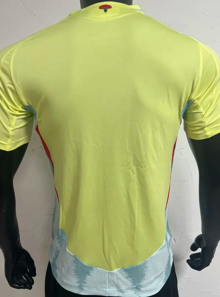 Spain Away Kit 2024/25